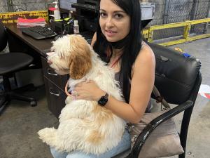 82C6E7F7-038E-4FE0-AE57-1E0FFAD4F22F