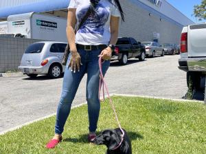 BC1E7C6D-6E37-487D-B700-6EAD45E0B02F