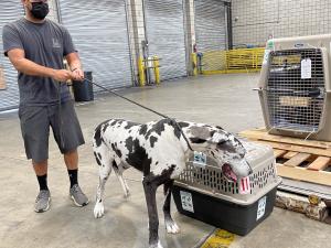 85505CAF-E5D1-4964-9FBF-BD82ABC4DB76