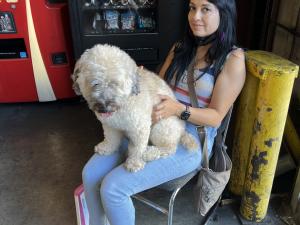 CC33E64E-A851-4036-9A54-9944E06842C8