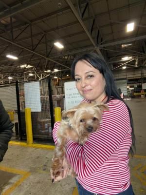 salida-de-envio-internacional-de-perro