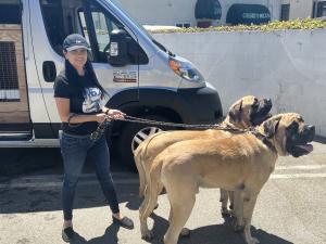 3B457BC6-AA85-4D90-B380-883D7658FCC7