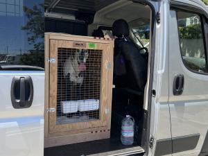 83863969-0A3F-4AC9-A18A-9F264EBB3929