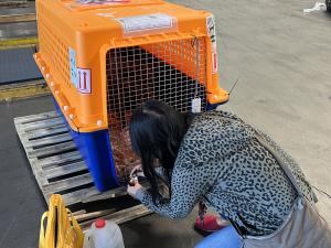 A38D2A3F-8BD5-4EBC-9315-C10B77C25FCD