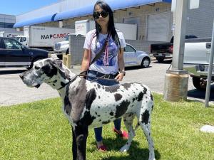 A6E1AA81-F700-4743-A4E7-F33AC0C6847D