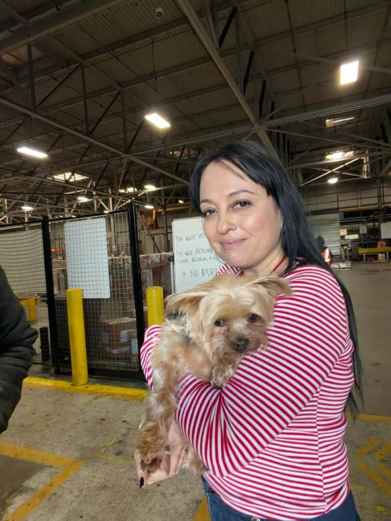 salida-de-envio-internacional-de-perro