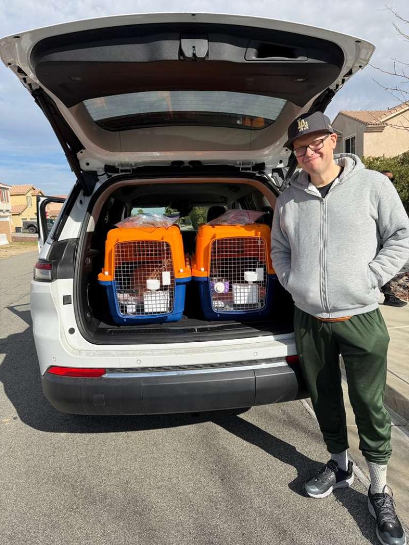 pet-relocation-services-international-moves