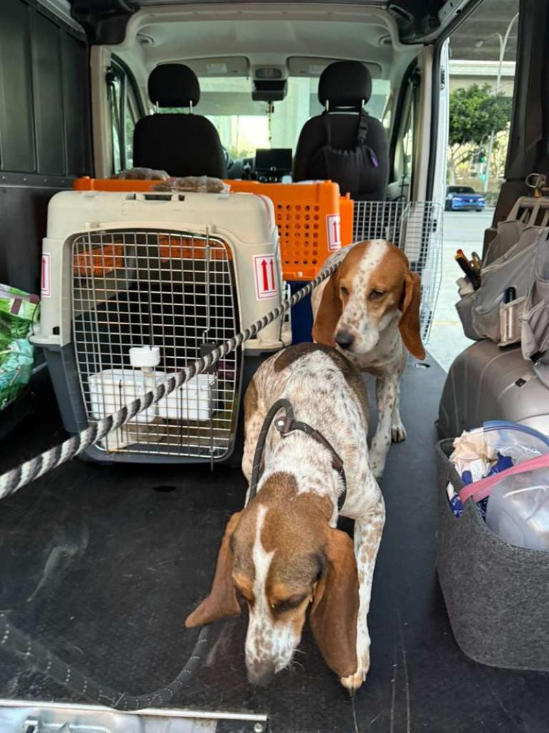 dfe62d0d-0939-4399-9f2d-3bdcf1579b09