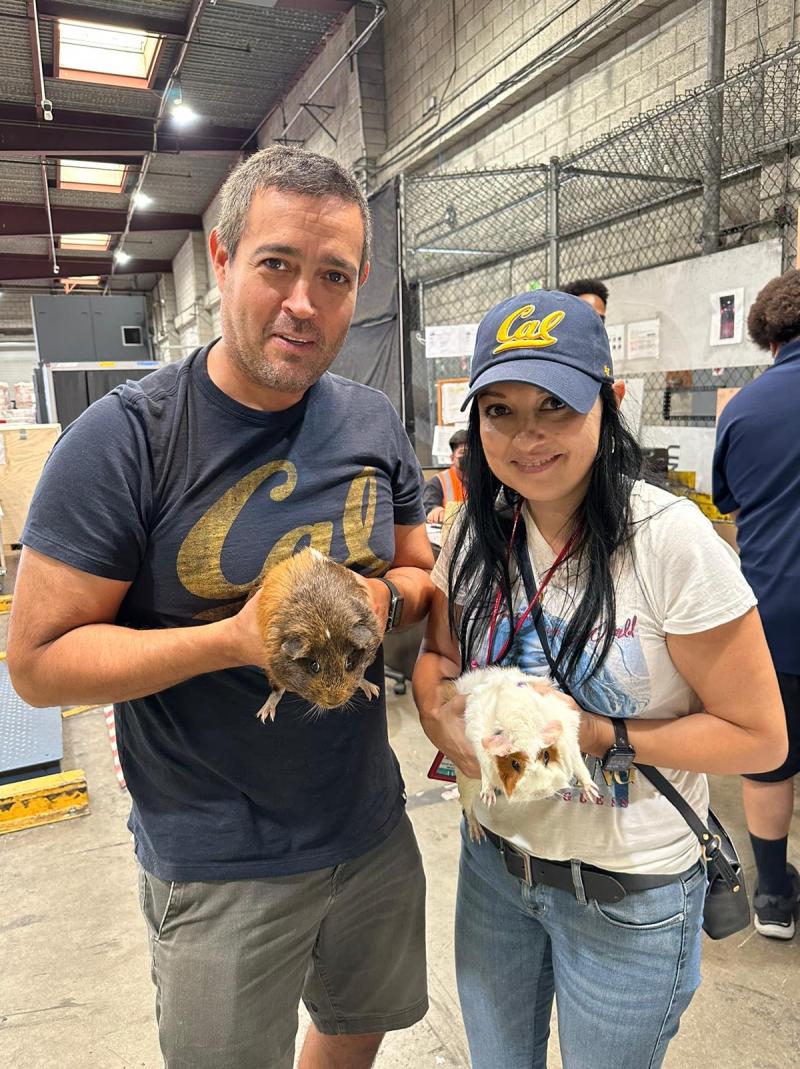 071b64fa-7da0-4b6f-84e9-926b7304f016