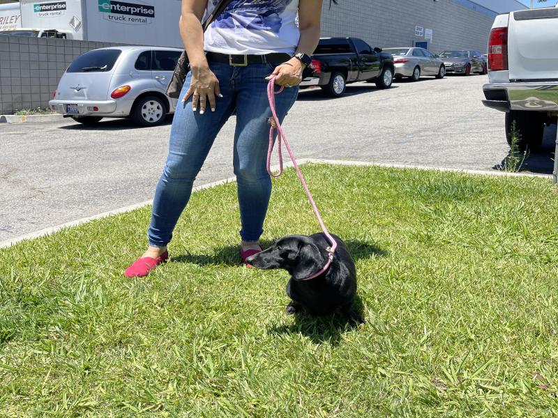 BC1E7C6D-6E37-487D-B700-6EAD45E0B02F