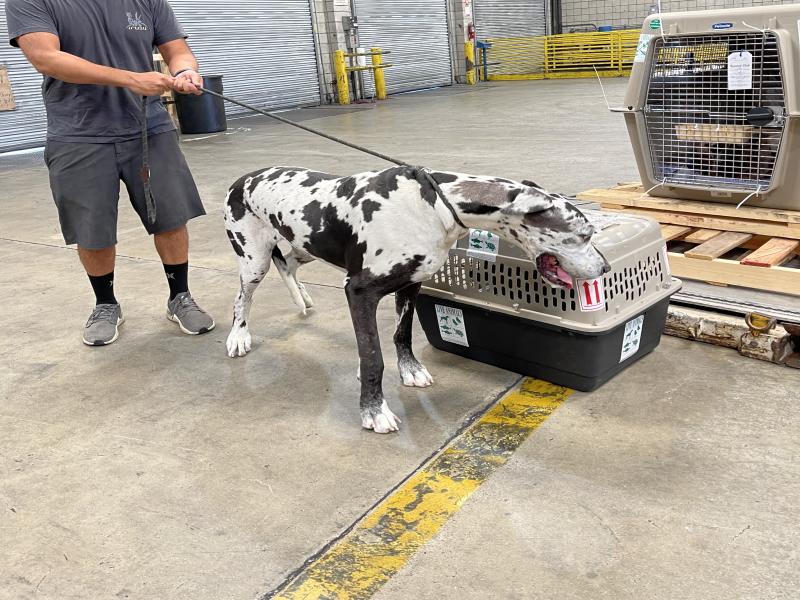 85505CAF-E5D1-4964-9FBF-BD82ABC4DB76