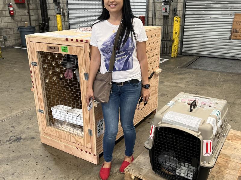 78F0C0C9-B26C-4732-B9C1-0BCFAF0AE405