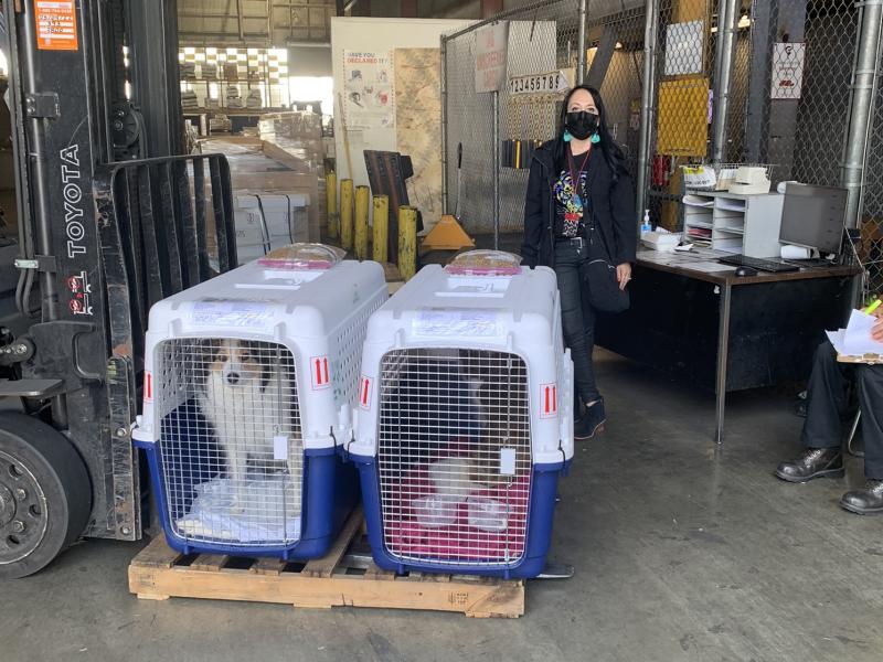 537AB410-824F-44A4-B7C8-4CE8CB67B855