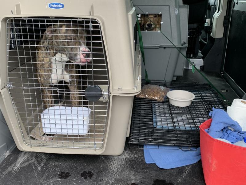 EF3384DC-E4B5-4AC9-9D66-B84F8E134BD1