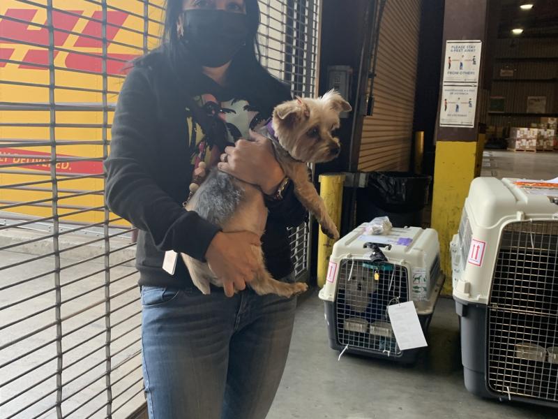 1C375F8F-4AB3-4056-96BE-C255DE736283