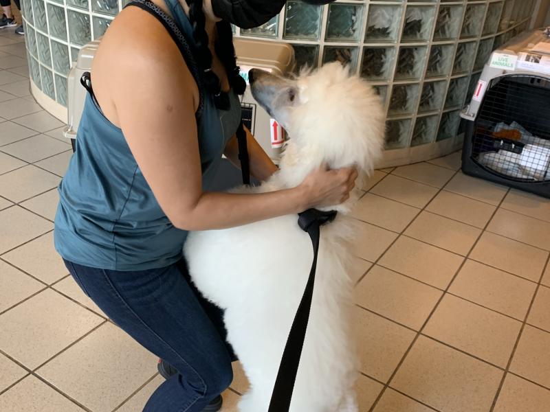 D7BE9B30-4762-48D9-B847-07A454F5E527