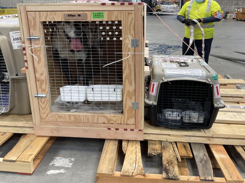 111E5AFC-74BE-45F5-A750-D06B5F6613B7