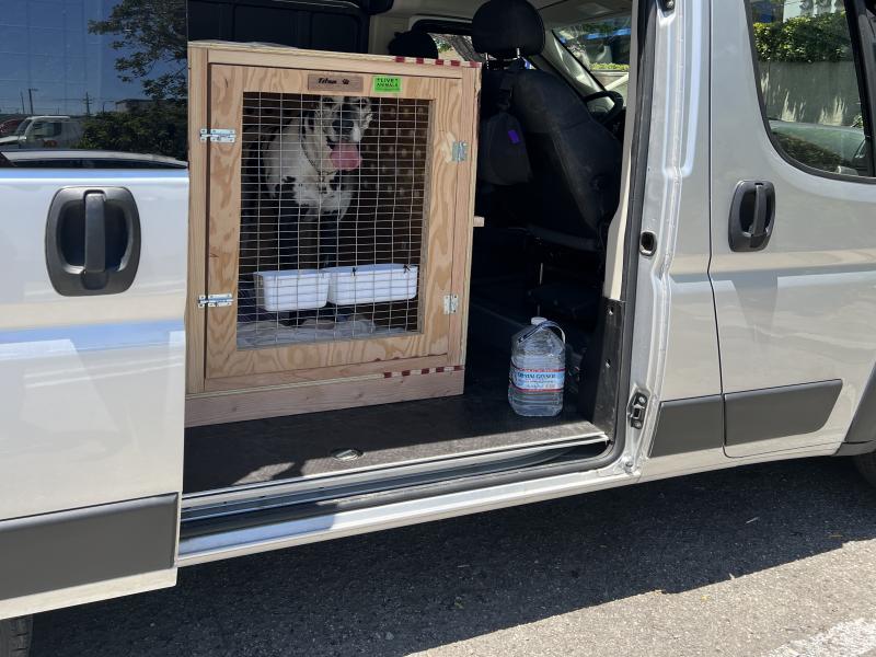 83863969-0A3F-4AC9-A18A-9F264EBB3929