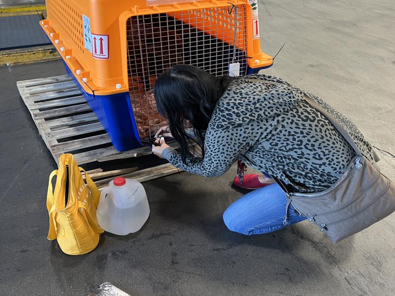 A38D2A3F-8BD5-4EBC-9315-C10B77C25FCD