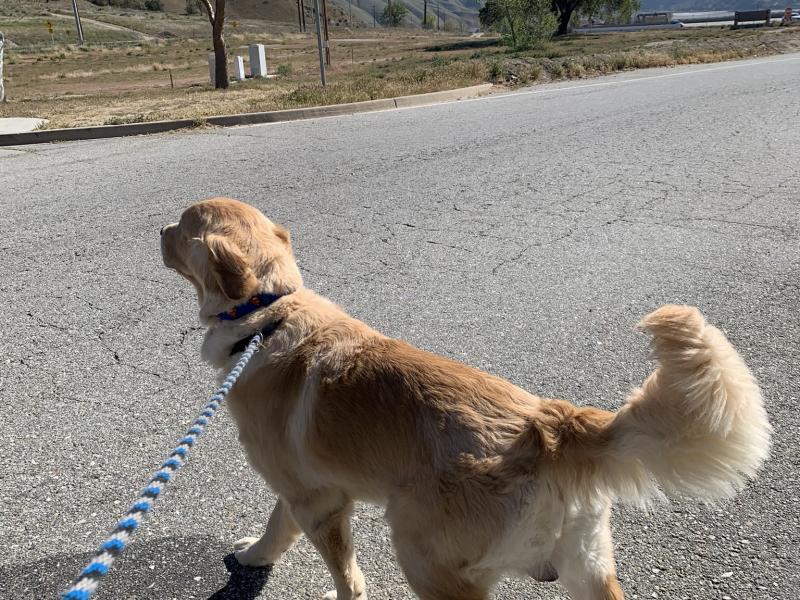 F20361EB-EB43-4A7A-8E59-C9AEB90E4BA3