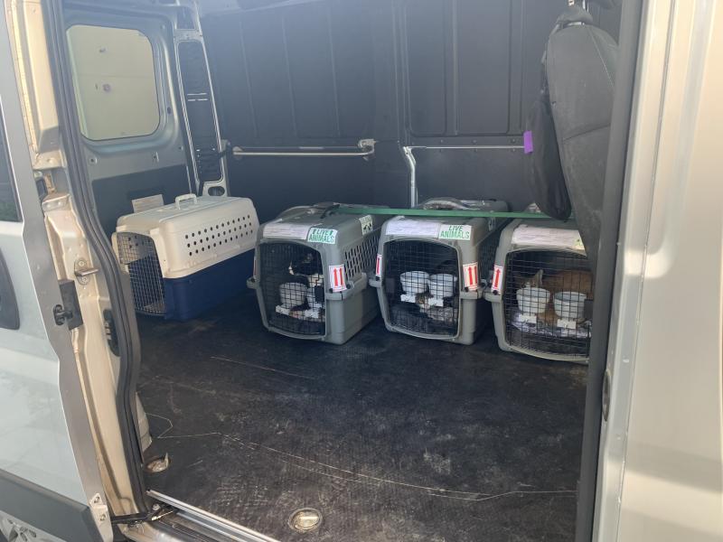 63A5C999-1790-4A9A-B99C-8D781144C70B