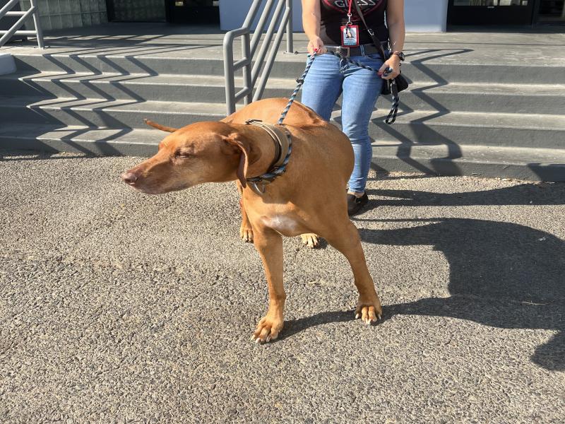 865CA45D-2F86-48F6-B349-7B719439C2E0