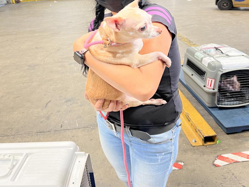 53F9B6DB-D7D9-47E5-BE94-68B8C001983E