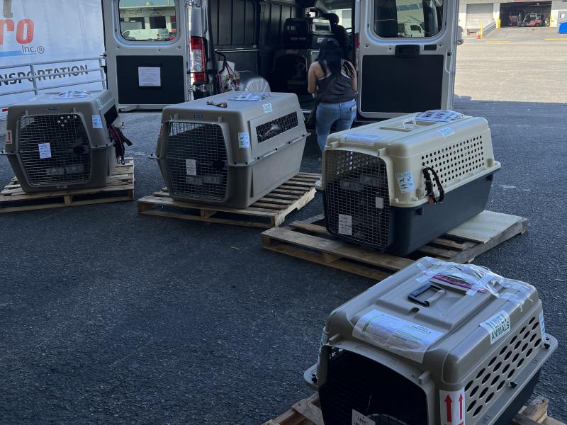 A6CB0C37-E625-4CD0-8711-5E1B70C514EC