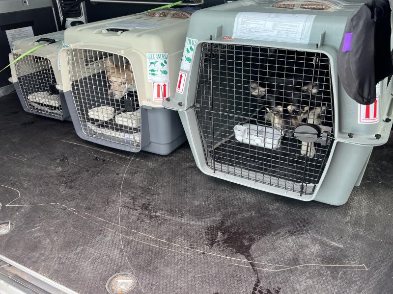 5DBAD851-39B0-4B88-9887-85828BDAB38F