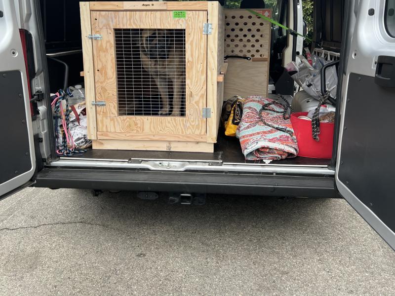 72F32510-EB89-456A-8E43-5FFA418A43DA