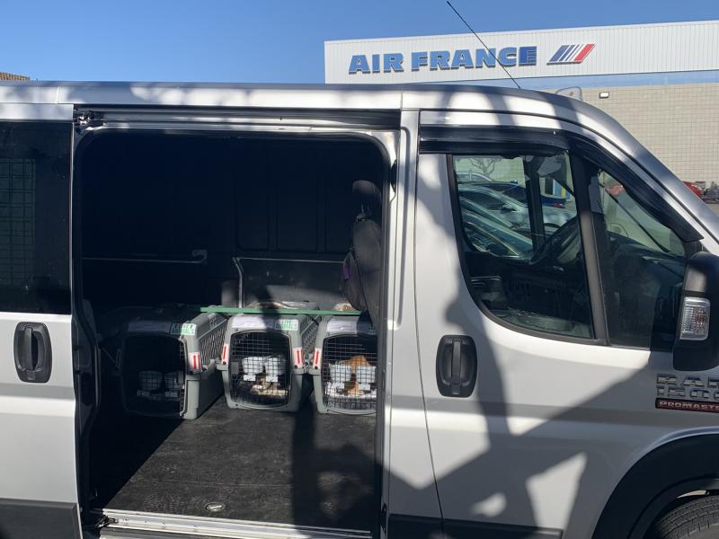 D143F4E2-6838-4528-9E9B-2AE45E0529BB