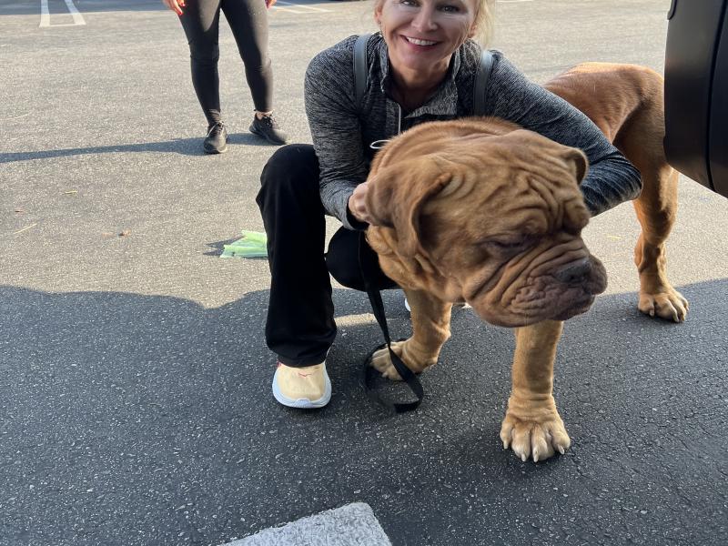 8DB957F5-326F-436C-8145-DE747AAC8F0F