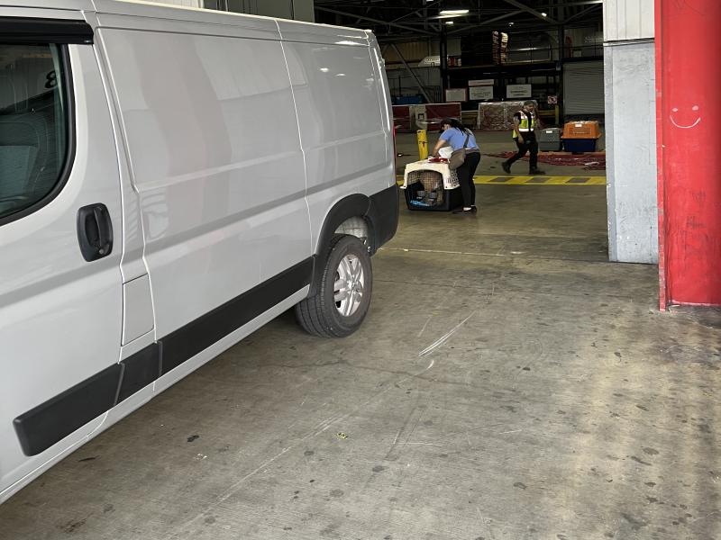 3BDA19EC-B624-4FBB-BAD4-281DBA2B06EE