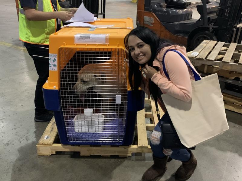 8938F598-D9E3-46E9-AAC1-5943072F9EA4