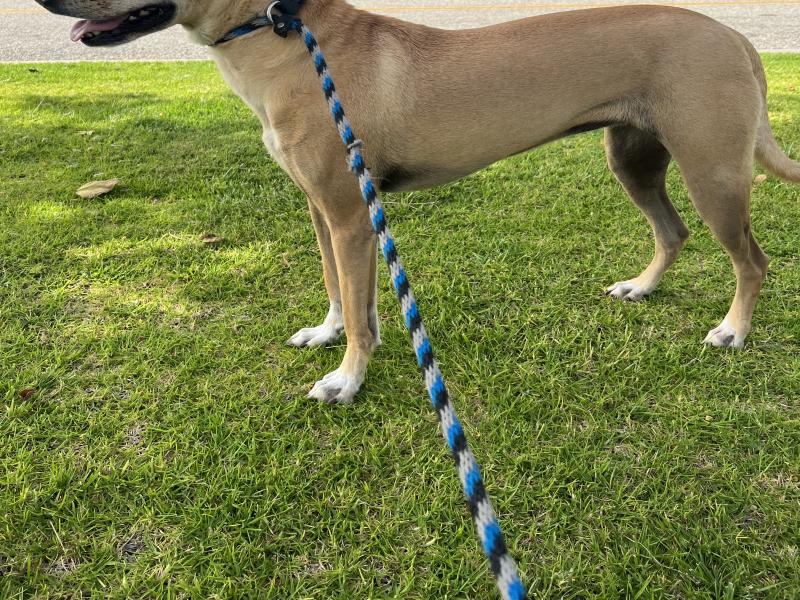 D196CAA9-B0F8-4C2A-B3BB-4D49EAD49646