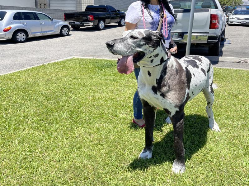 CCD7853C-2AA1-4AD5-BDB9-DD9CDCE8E446