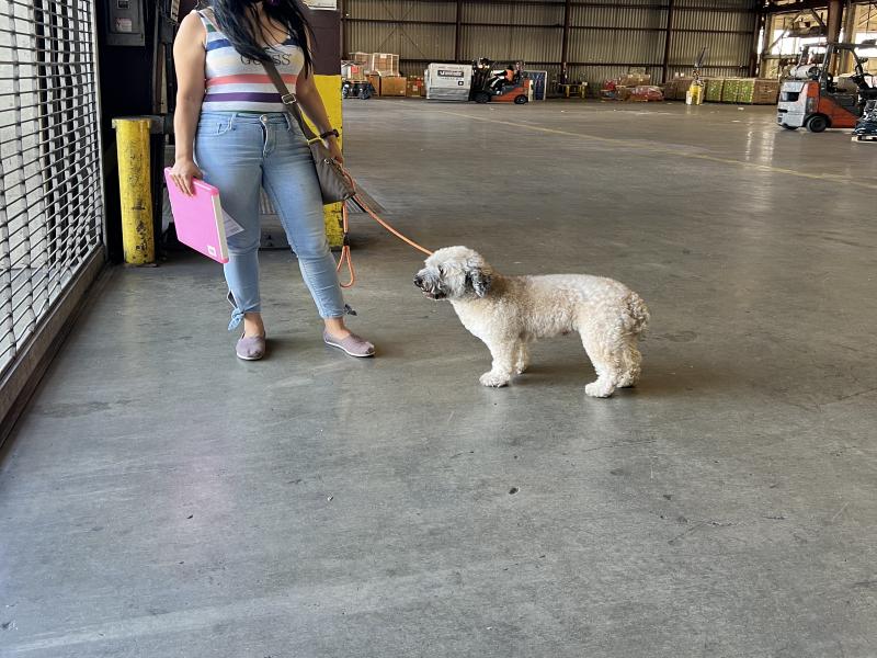 83D1BE52-BA75-46E3-B8C9-C1DF5EA8DAF9