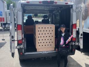 CD06F532-4019-4772-B492-082883358CE9