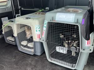 5DBAD851-39B0-4B88-9887-85828BDAB38F