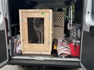 72F32510-EB89-456A-8E43-5FFA418A43DA