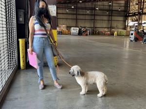 83D1BE52-BA75-46E3-B8C9-C1DF5EA8DAF9