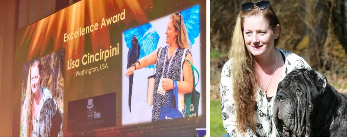 Mascotas Travel Reconocido con el Premio de Excelencia IPATA 2025