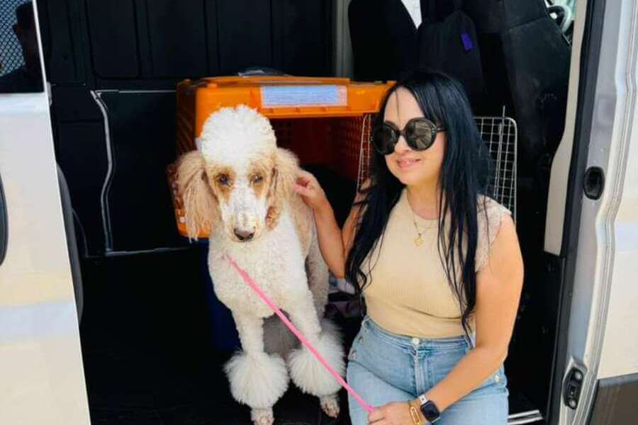 Lucy lista para el transporte internacional de mascotas el d&iacute;a del vuelo