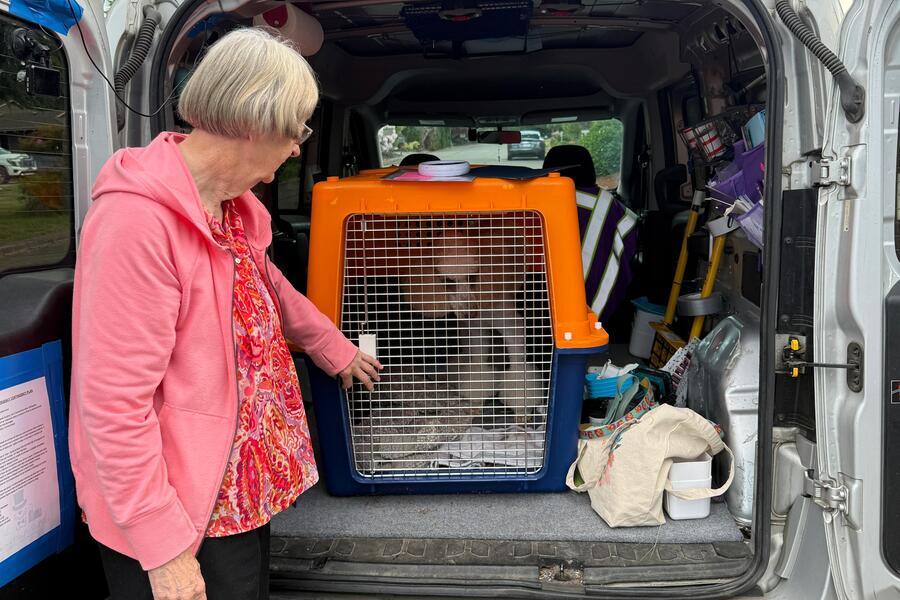 Lucy y su familia prepar&aacute;ndose para la mudanza internacional de Seattle a Ciudad de Panam&aacute;