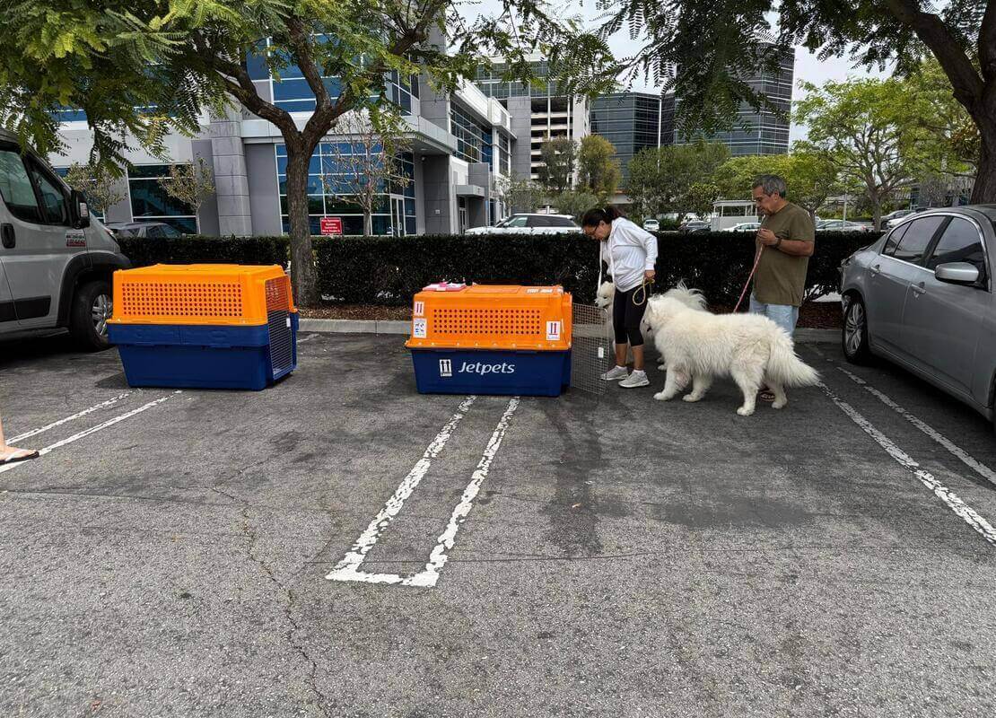 jaula de viaje para perros