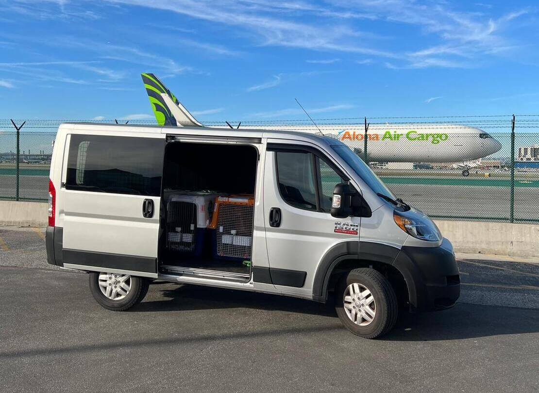 Mejor servicio de transporte de mascotas