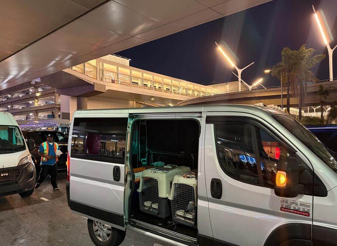 Transporte de mascotas Sur de California