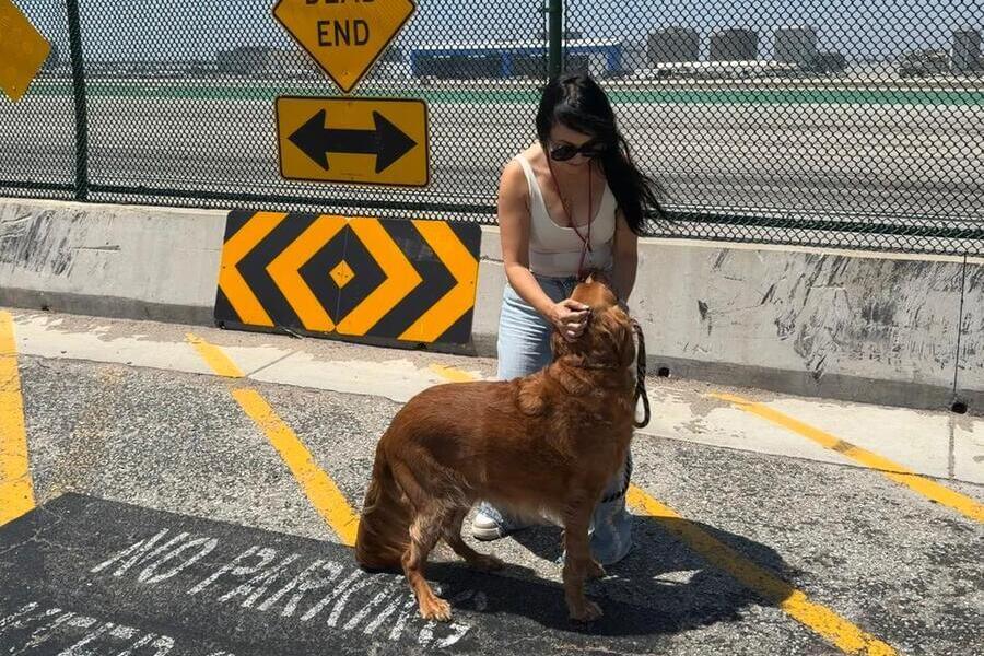 Tucker el perro con nuestra transportadora Anna en LAX durante su conexión hacia Costa Rica