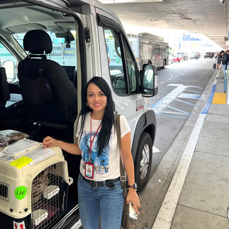 Servicio de Transporte Internacional de Mascotas