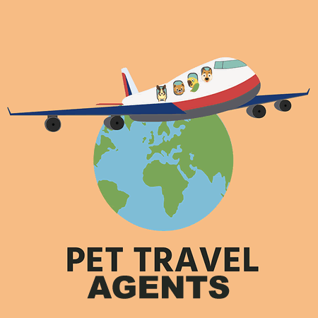 Agente de viajes para mascotas